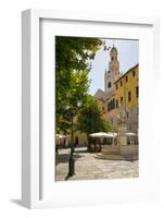 Concattedrale Di San Siro, Sanremo (San Remo), Liguria, Italy, Europe-Frank Fell-Framed Photographic Print