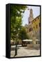 Concattedrale Di San Siro, Sanremo (San Remo), Liguria, Italy, Europe-Frank Fell-Framed Stretched Canvas