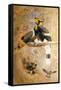 Concave-Casqued Hornbill (Dichoceros Bicornis), 1856-67-Joseph Wolf-Framed Stretched Canvas