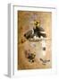 Concave-Casqued Hornbill (Dichoceros Bicornis), 1856-67-Joseph Wolf-Framed Giclee Print