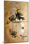 Concave-Casqued Hornbill (Dichoceros Bicornis), 1856-67-Joseph Wolf-Mounted Giclee Print
