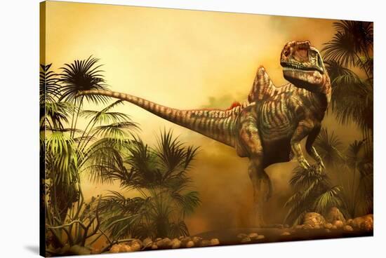 Concavenator Was a Theropod Dinosaur from the Early Cretaceous Period-null-Stretched Canvas