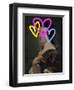 Concealed Portrait II-Victoria Barnes-Framed Art Print