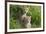 Concealed-Susann Parker-Framed Photographic Print