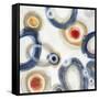 Concentric Circles-Liz Jardine-Framed Stretched Canvas