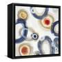 Concentric Circles-Liz Jardine-Framed Stretched Canvas