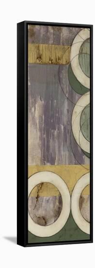 Concentric II-Jennifer Goldberger-Framed Stretched Canvas