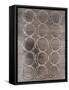 Concentric Metallic in Aged Silver-Michael Willett-Framed Stretched Canvas