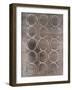 Concentric Metallic in Aged Silver-Michael Willett-Framed Art Print