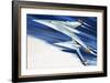 Concept Aircraft-null-Framed Giclee Print