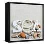 Concept of Summer Time with Sea Shells and Stones-Julia Photographer-Framed Stretched Canvas