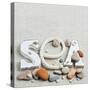 Concept of Summer Time with Sea Shells and Stones-Julia Photographer-Stretched Canvas