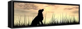 Concept or Conceptual Young Beautiful Black Cute Dog Silhouette in Grass or Meadow over a Sky at Su-bestdesign36-Framed Stretched Canvas