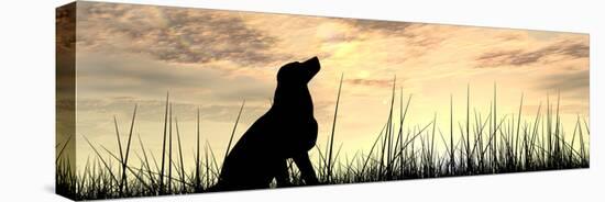 Concept or Conceptual Young Beautiful Black Cute Dog Silhouette in Grass or Meadow over a Sky at Su-bestdesign36-Stretched Canvas