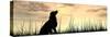 Concept or Conceptual Young Beautiful Black Cute Dog Silhouette in Grass or Meadow over a Sky at Su-bestdesign36-Stretched Canvas