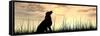 Concept or Conceptual Young Beautiful Black Cute Dog Silhouette in Grass or Meadow over a Sky at Su-bestdesign36-Framed Stretched Canvas