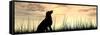 Concept or Conceptual Young Beautiful Black Cute Dog Silhouette in Grass or Meadow over a Sky at Su-bestdesign36-Framed Stretched Canvas