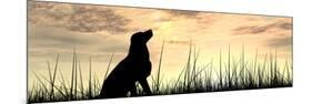 Concept or Conceptual Young Beautiful Black Cute Dog Silhouette in Grass or Meadow over a Sky at Su-bestdesign36-Mounted Photographic Print