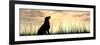 Concept or Conceptual Young Beautiful Black Cute Dog Silhouette in Grass or Meadow over a Sky at Su-bestdesign36-Framed Photographic Print