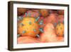 Conceptual biomedical illustration of rubeola measles virus on surface.-Stocktrek Images-Framed Art Print