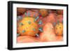 Conceptual biomedical illustration of rubeola measles virus on surface.-Stocktrek Images-Framed Art Print