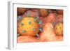 Conceptual biomedical illustration of rubeola measles virus on surface.-Stocktrek Images-Framed Art Print