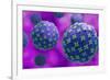 Conceptual biomedical illustration of the Hantaan virus.-Stocktrek Images-Framed Art Print