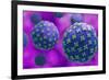 Conceptual biomedical illustration of the Hantaan virus.-Stocktrek Images-Framed Art Print