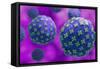 Conceptual biomedical illustration of the Hantaan virus.-Stocktrek Images-Framed Stretched Canvas