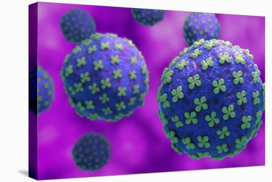 Conceptual biomedical illustration of the Hantaan virus.-Stocktrek Images-Stretched Canvas