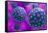 Conceptual biomedical illustration of the Hantaan virus.-Stocktrek Images-Framed Stretched Canvas