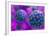 Conceptual biomedical illustration of the Hantaan virus.-Stocktrek Images-Framed Art Print