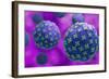 Conceptual biomedical illustration of the Hantaan virus.-Stocktrek Images-Framed Art Print