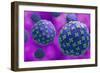 Conceptual biomedical illustration of the Hantaan virus.-Stocktrek Images-Framed Art Print