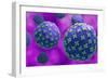 Conceptual biomedical illustration of the Hantaan virus.-Stocktrek Images-Framed Art Print