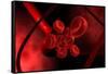 Conceptual Image of a Blood Vessel-null-Framed Stretched Canvas