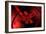 Conceptual Image of a Blood Vessel-null-Framed Art Print