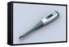 Conceptual Image of a Digital Thermometer-null-Framed Stretched Canvas