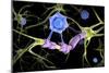 Conceptual image of a multiple sclerosis neuron healed by a T-cell.-Stocktrek Images-Mounted Premium Giclee Print