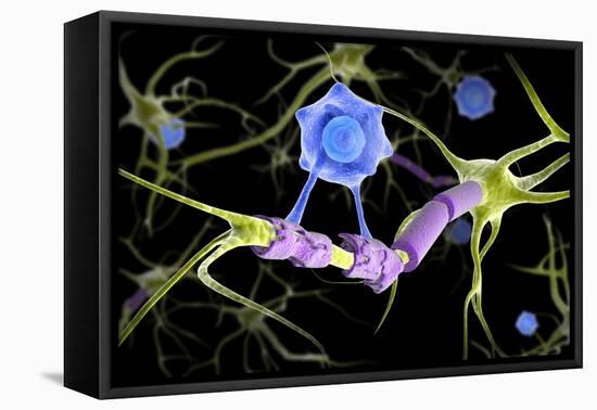 Conceptual image of a multiple sclerosis neuron healed by a T-cell.-Stocktrek Images-Framed Stretched Canvas