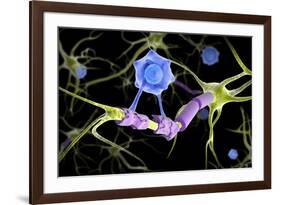 Conceptual image of a multiple sclerosis neuron healed by a T-cell.-Stocktrek Images-Framed Art Print