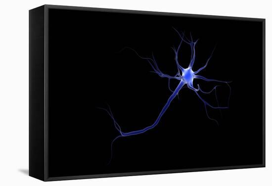 Conceptual Image of a Neuron-null-Framed Stretched Canvas