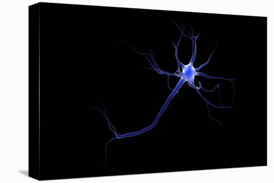 Conceptual Image of a Neuron-null-Stretched Canvas