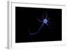 Conceptual Image of a Neuron-null-Framed Art Print