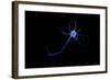 Conceptual Image of a Neuron-null-Framed Art Print