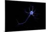 Conceptual Image of a Neuron-null-Mounted Art Print