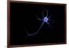 Conceptual Image of a Neuron-null-Framed Art Print