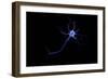 Conceptual Image of a Neuron-null-Framed Art Print