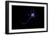 Conceptual Image of a Neuron-null-Framed Premium Giclee Print