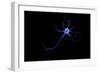 Conceptual Image of a Neuron-null-Framed Premium Giclee Print